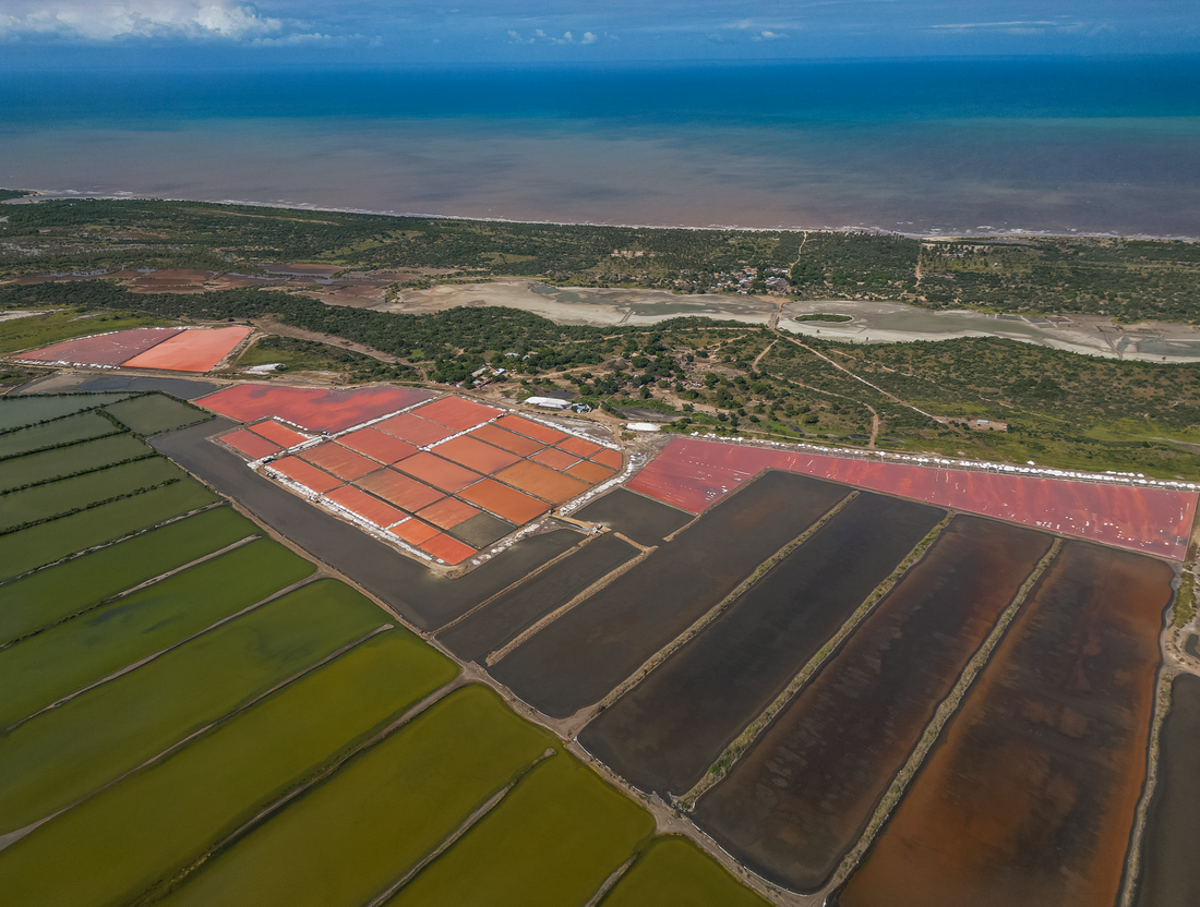 What’s Inside Our Sea Salt? The Natural Goodness Behind Asilia Salt