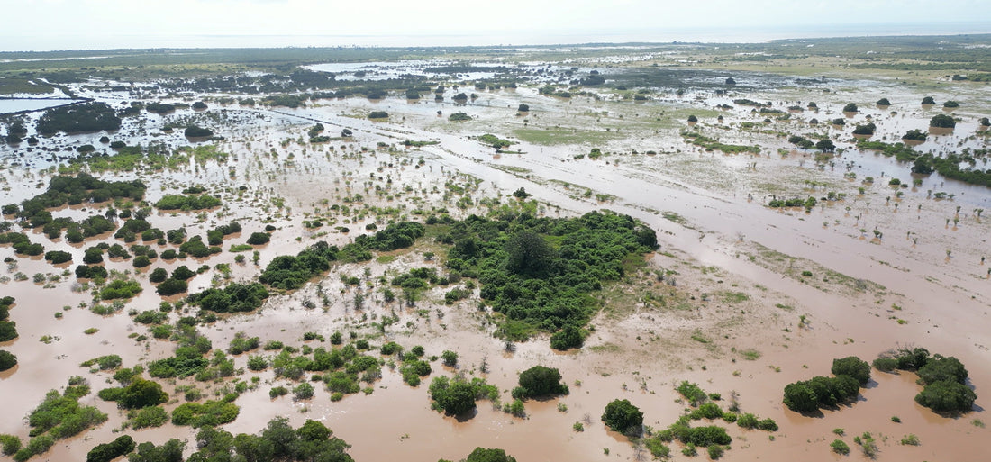Life on a Salt Farm - The Rains