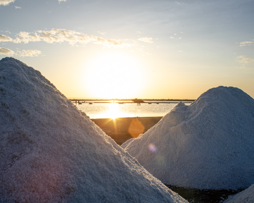 Salt Farm Sunset