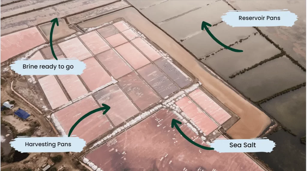 Salt pans explained