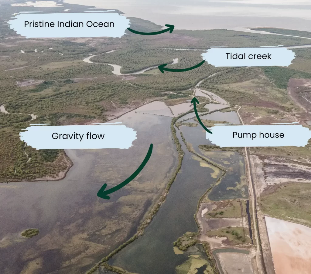 Solar salt production explained